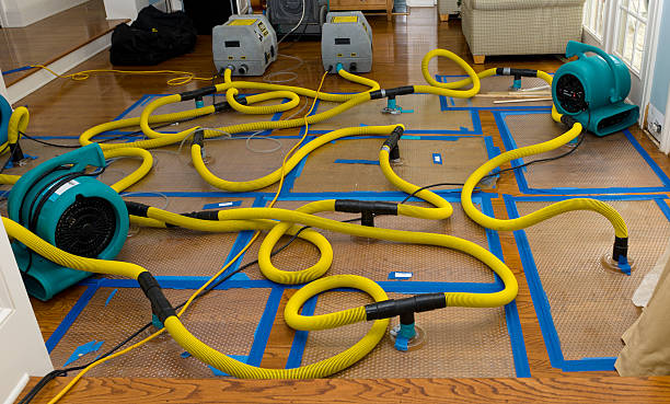 Professional Burst Pipe Water Damage technician working in Port Hadlock, WA